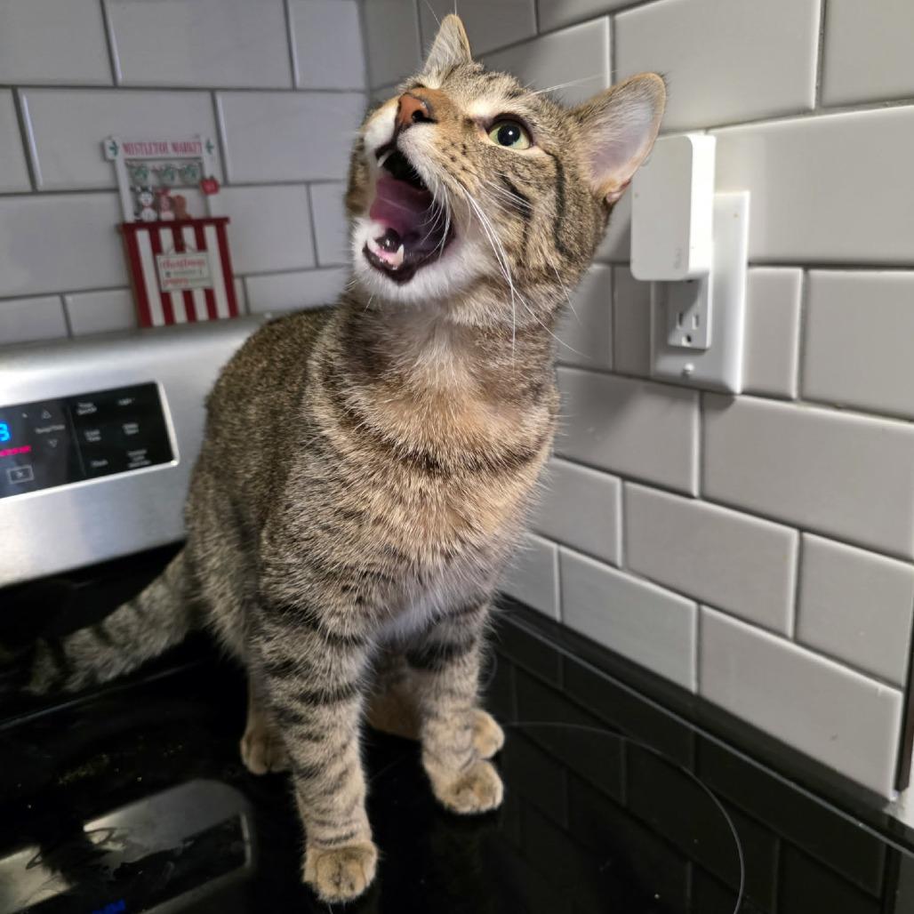 Lucky Day — thumbnail 5