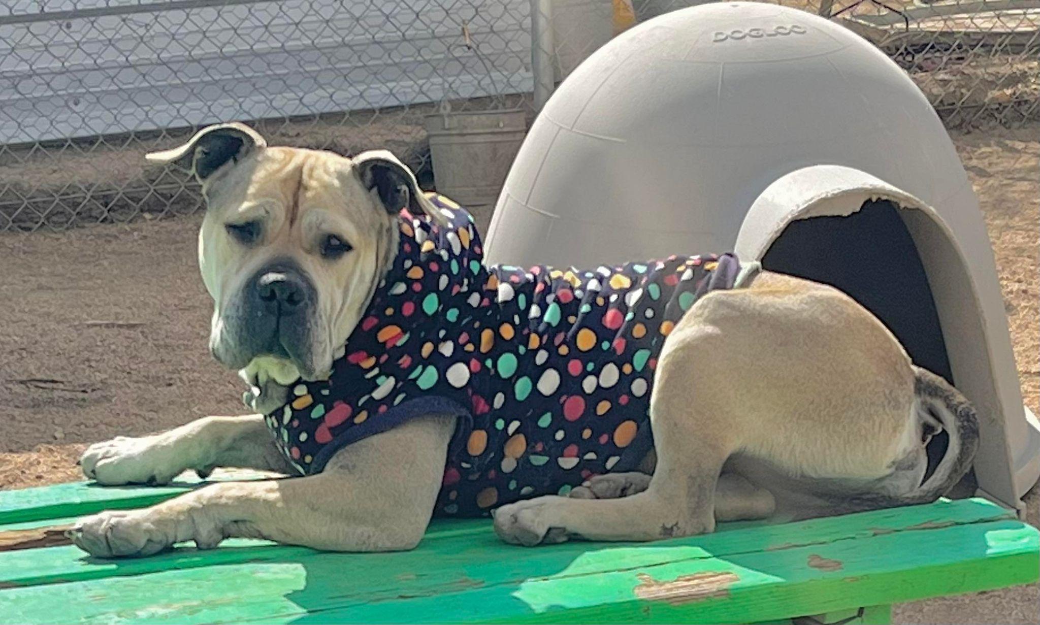 Julie — thumbnail 5