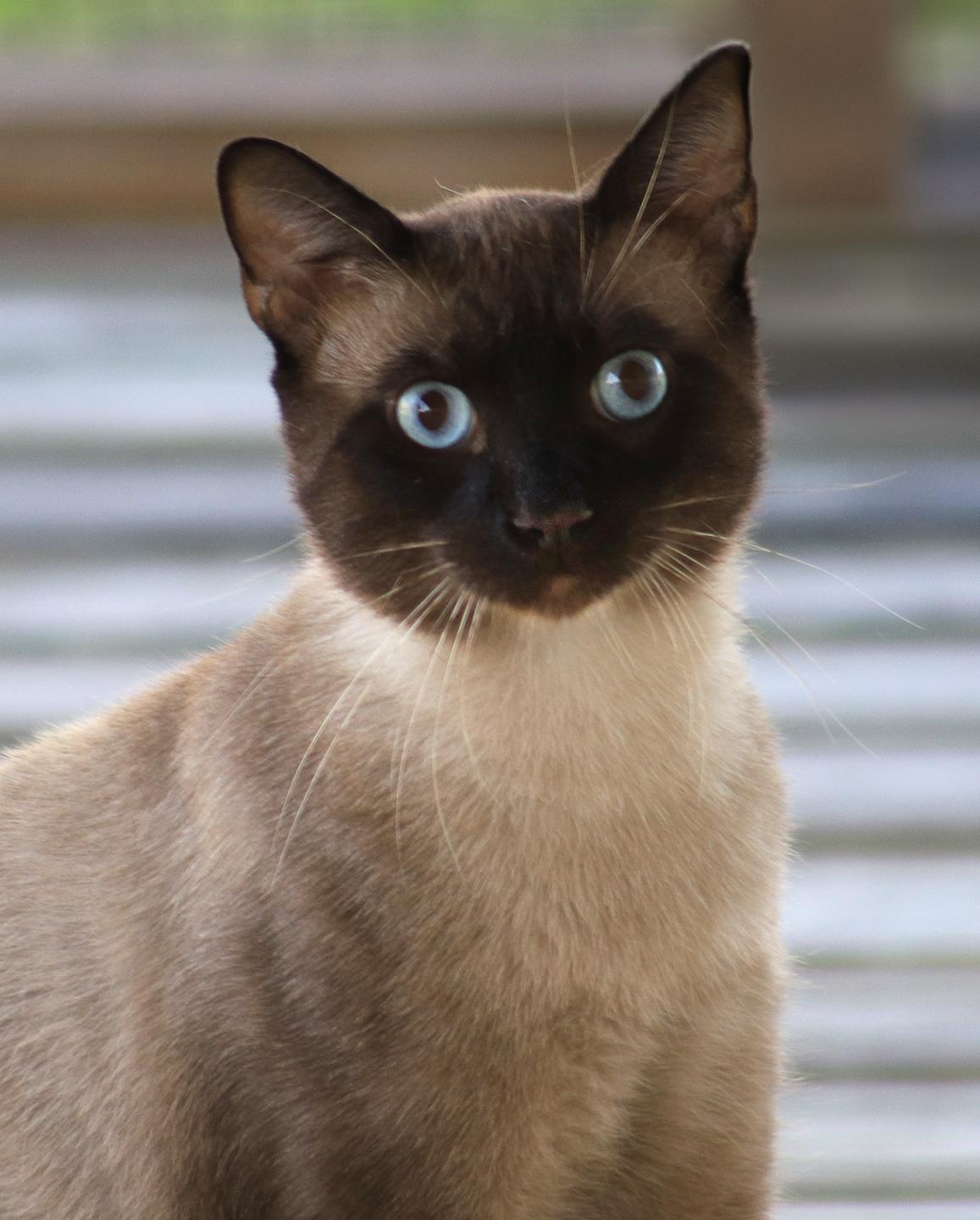 Finn photo 2