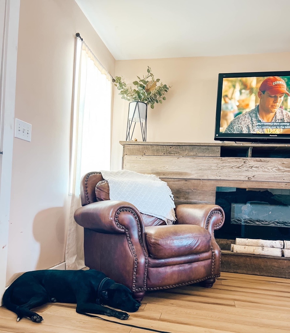 Keno, Adopted, Young Male Pit Bull Terrier.