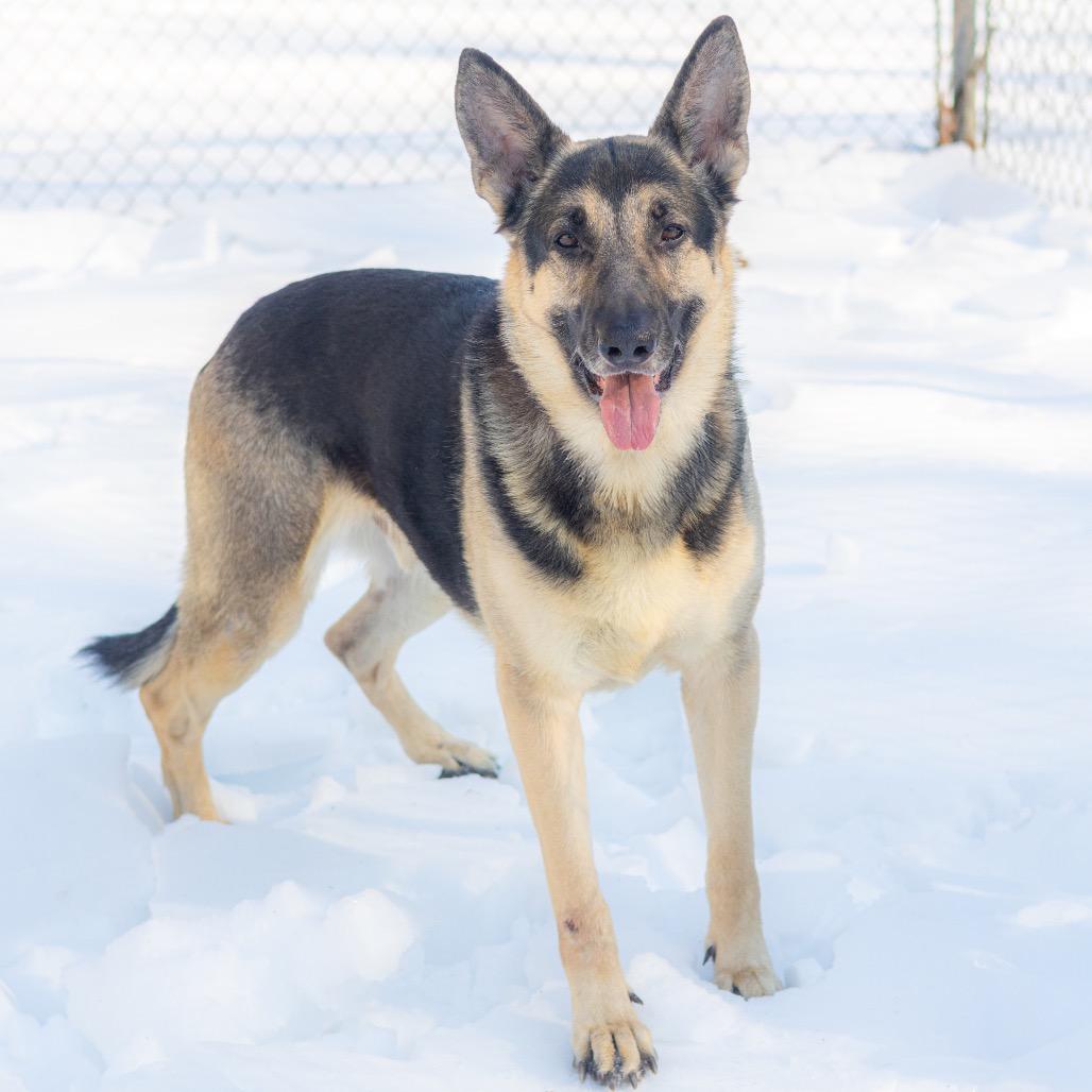 Tonka — thumbnail 6