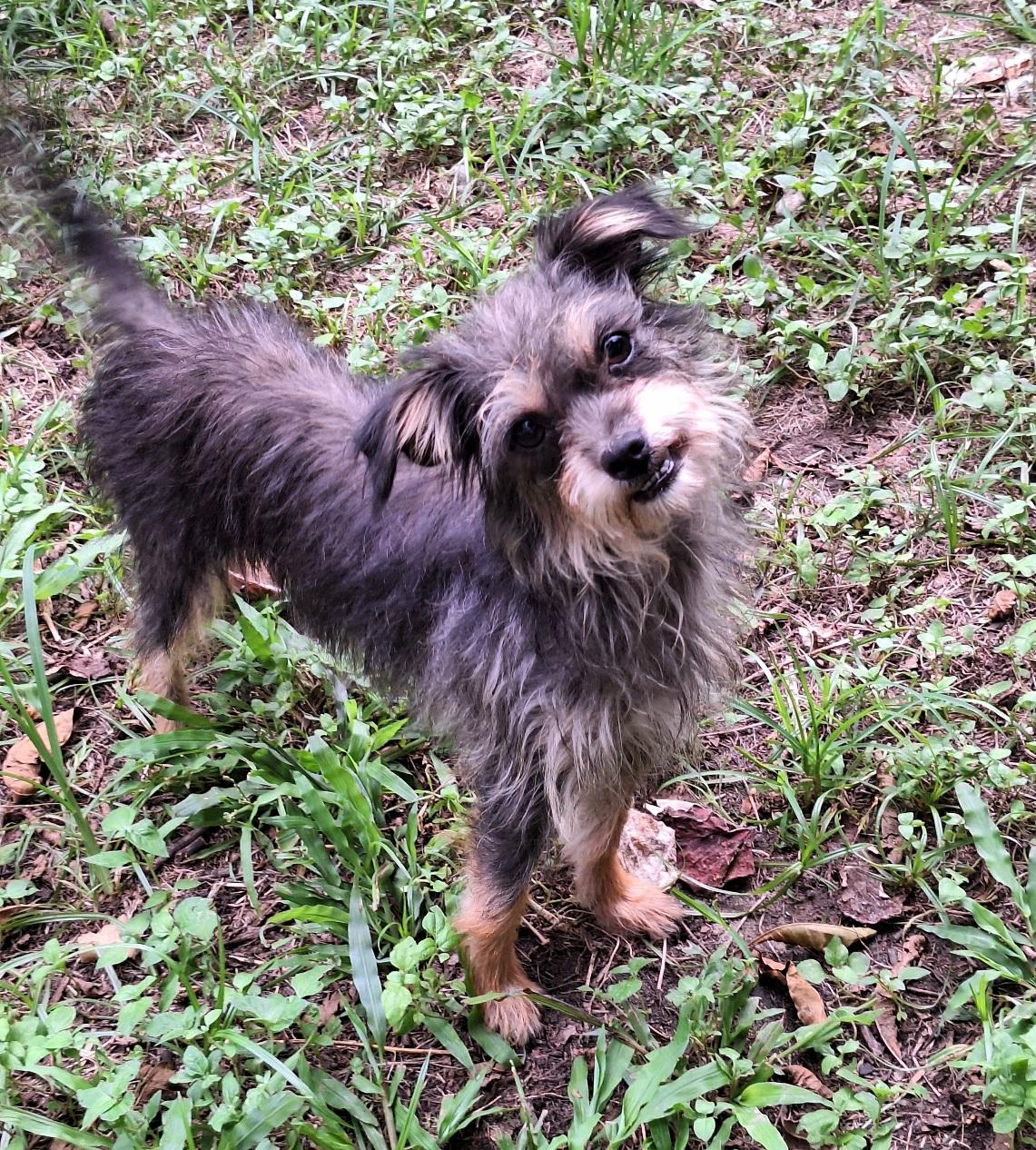 Kizik Cothw thumbnail 2