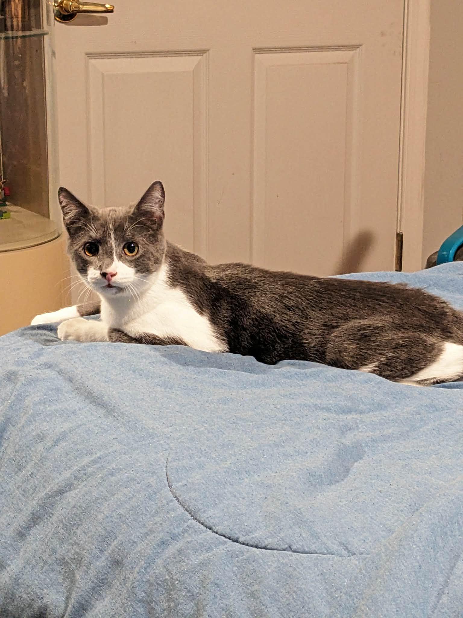 Mercury — thumbnail 2