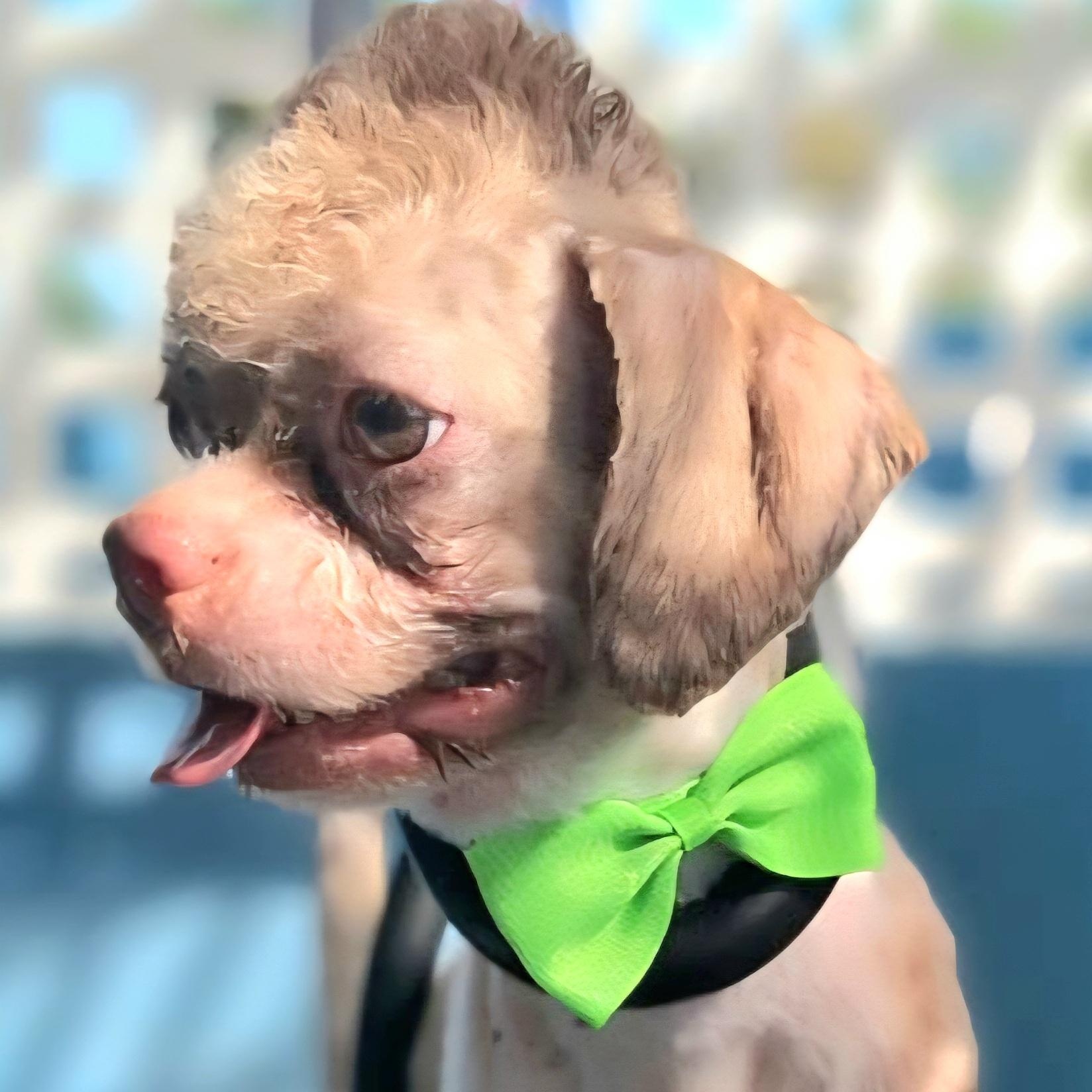 Keko "kiss & Hug thumbnail 3