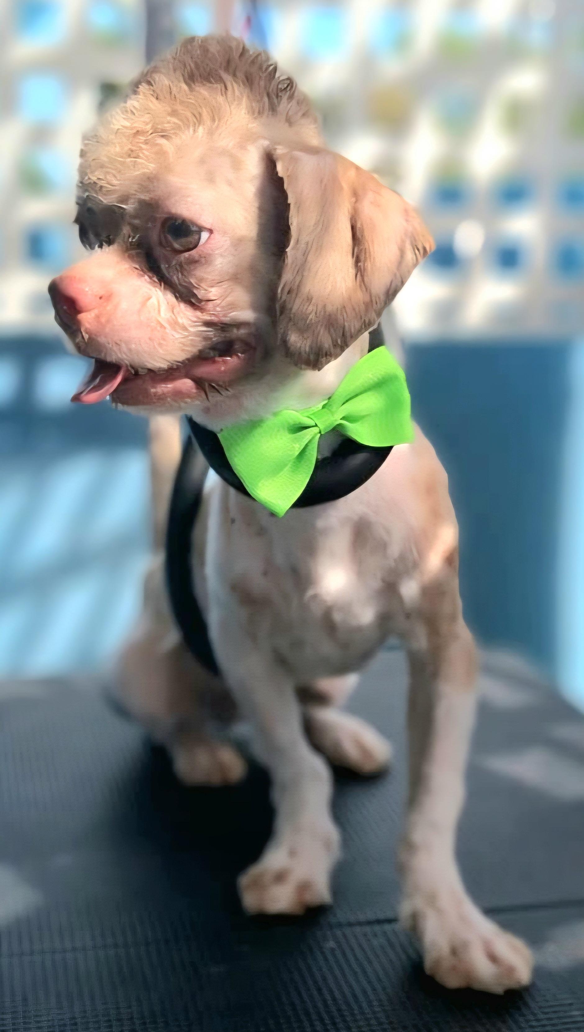 Keko "kiss & Hug thumbnail 4