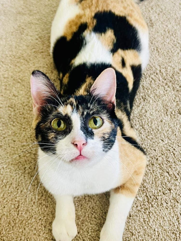 Emmi — thumbnail 2