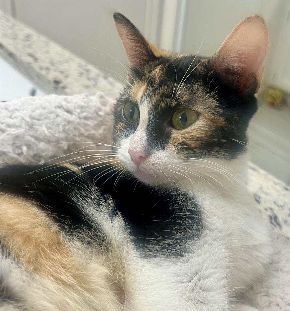 Emmi — thumbnail 5