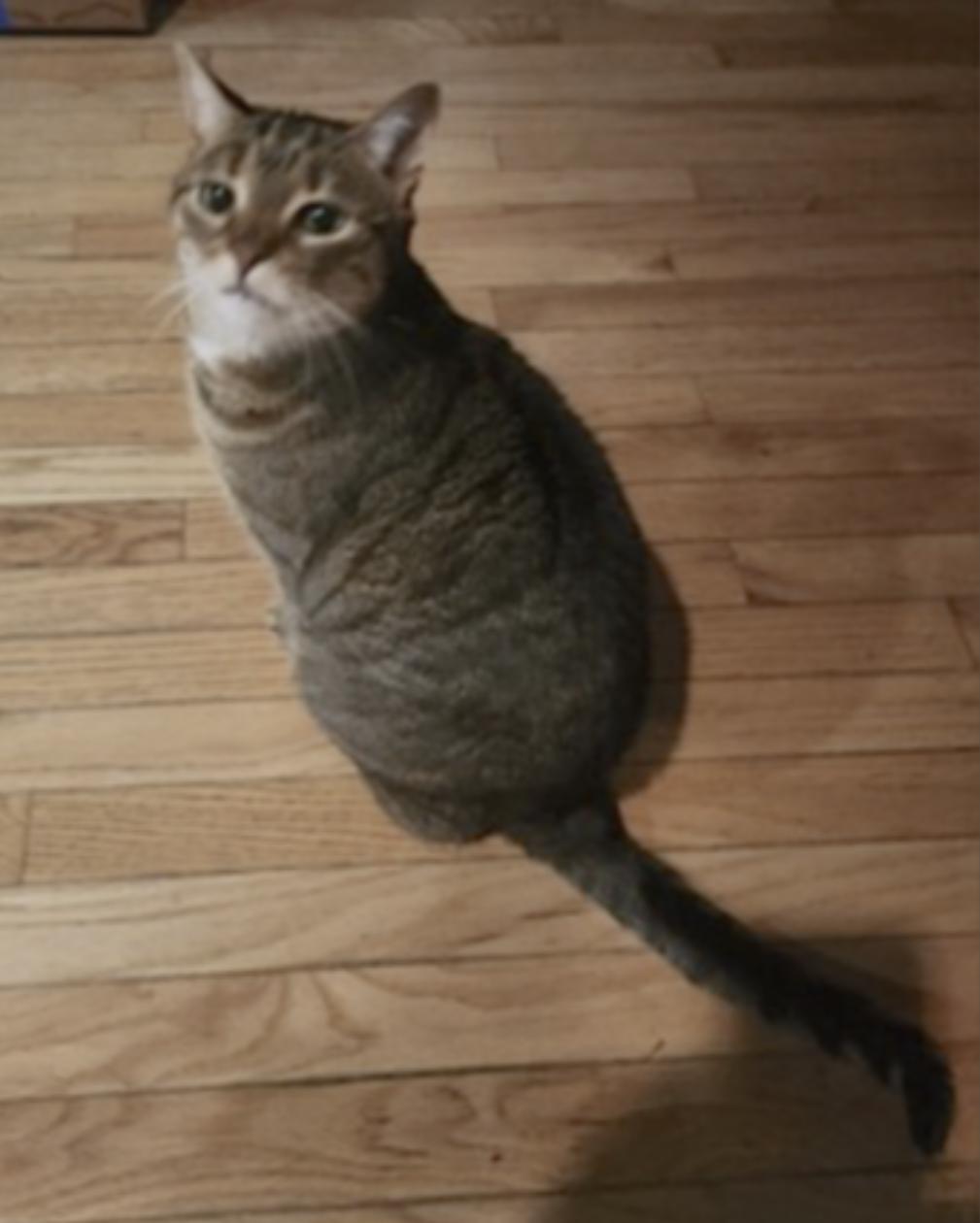 Avery and Lexi — thumbnail 3