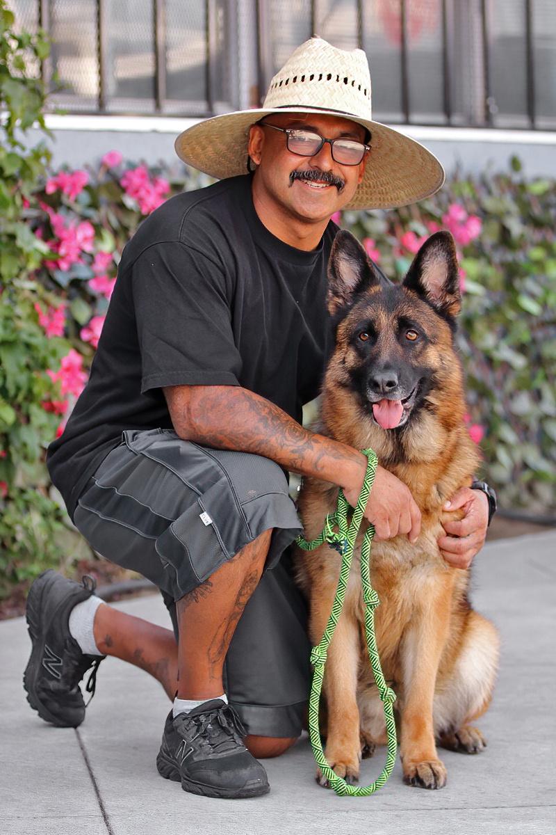 Paloma von Prezelle", a Adoptable German Shepherd Dog in Seattle, WA image 2/6