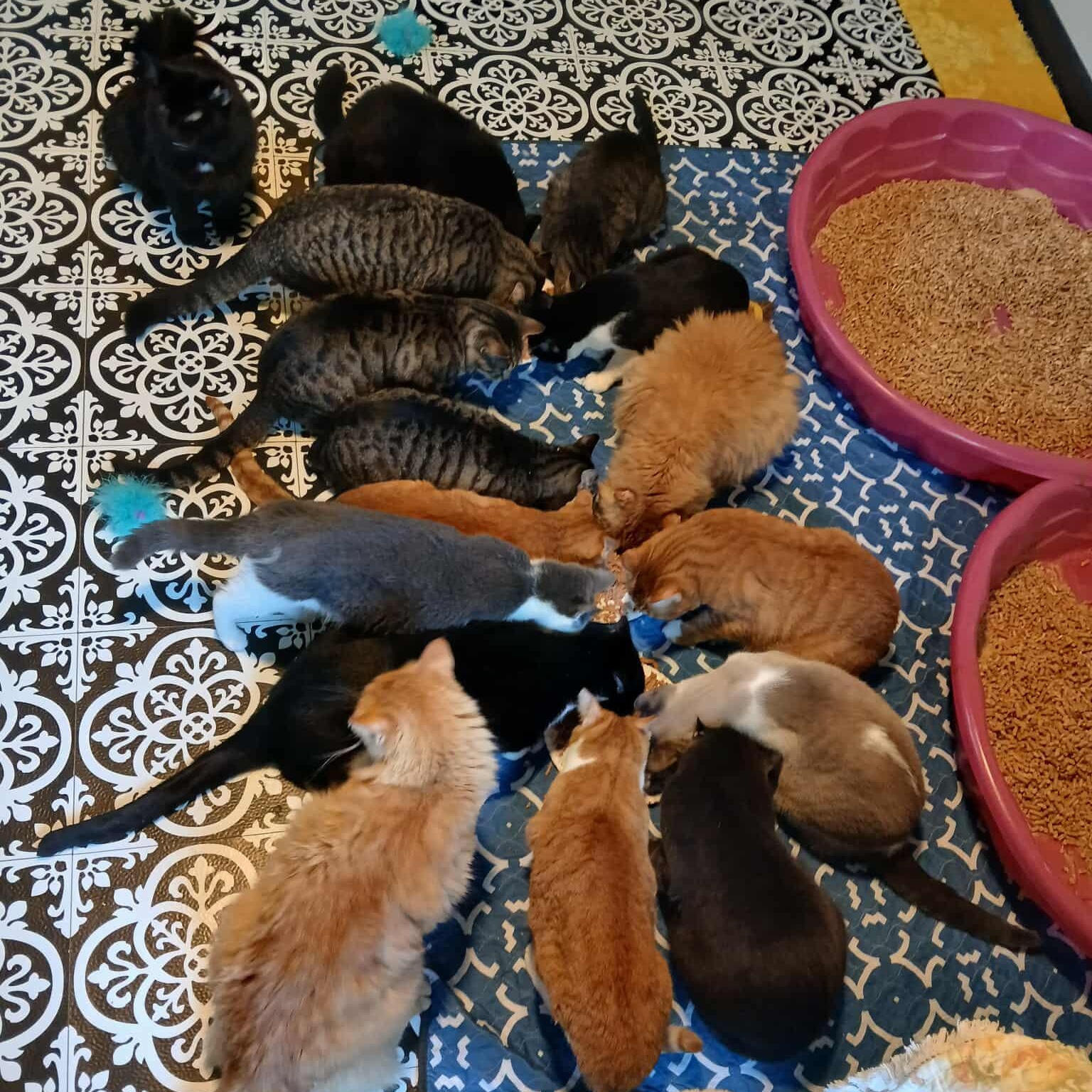 Romulus And Remus thumbnail 5