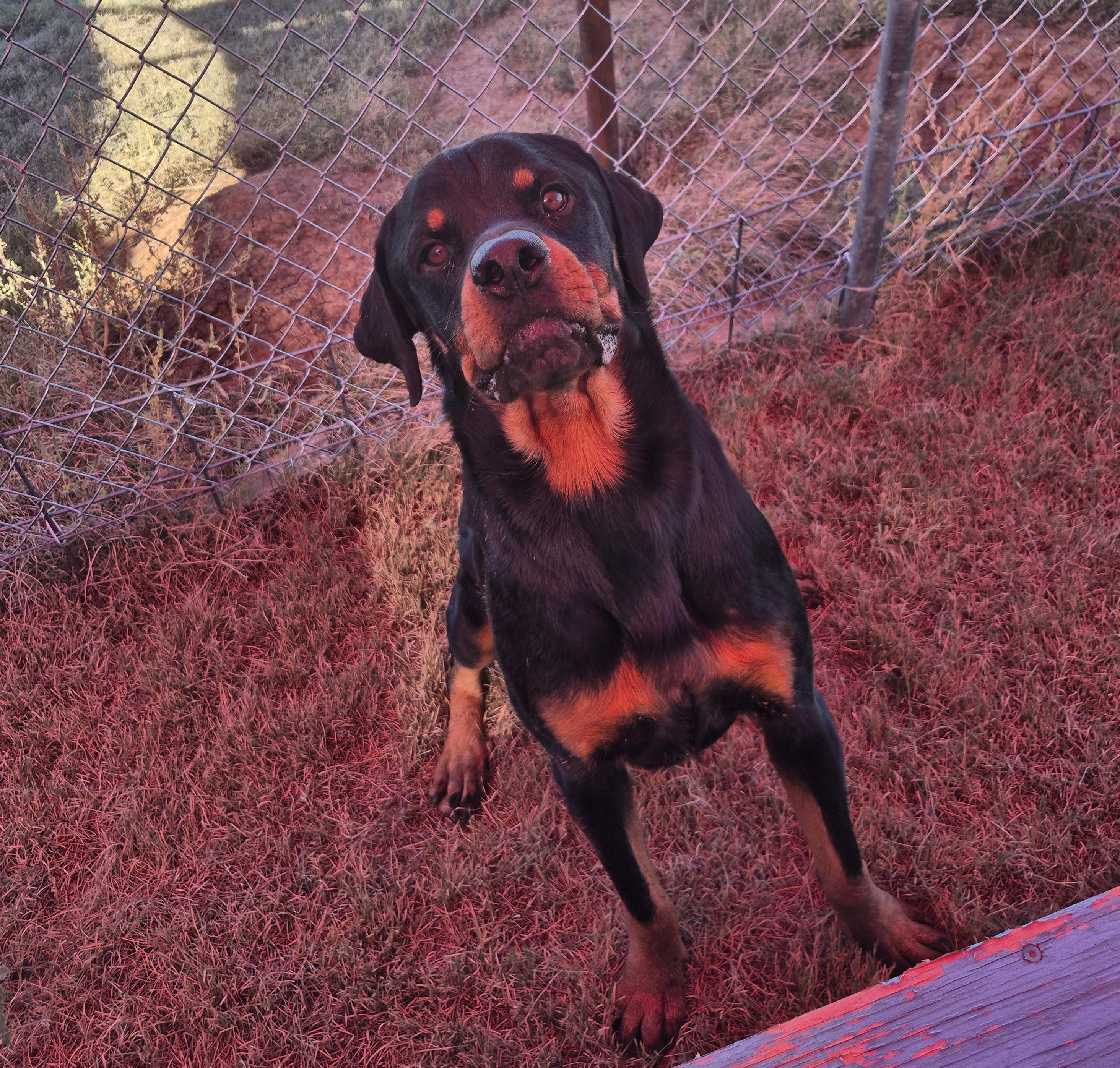 Creek — thumbnail 2