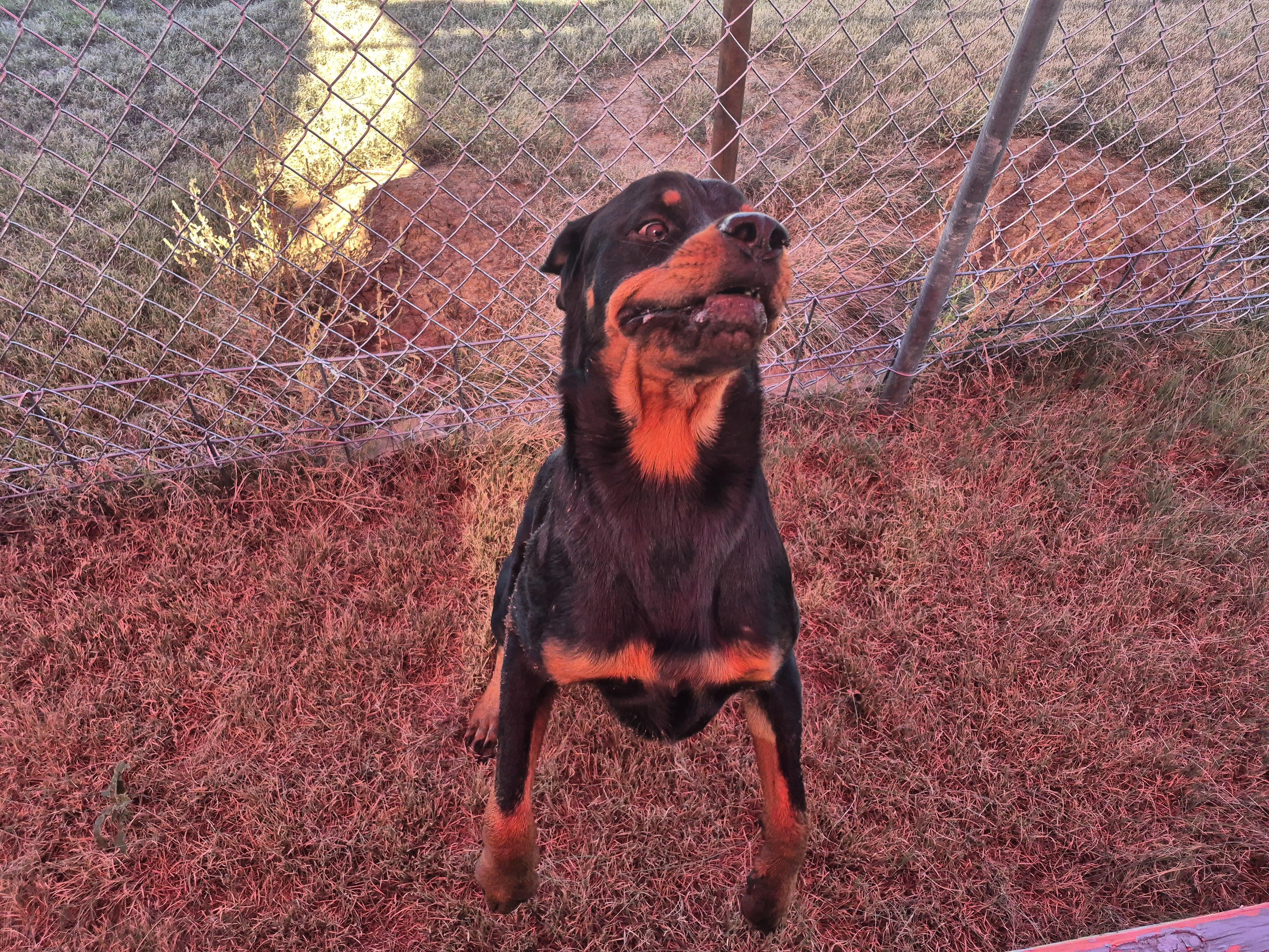 Creek — thumbnail 4