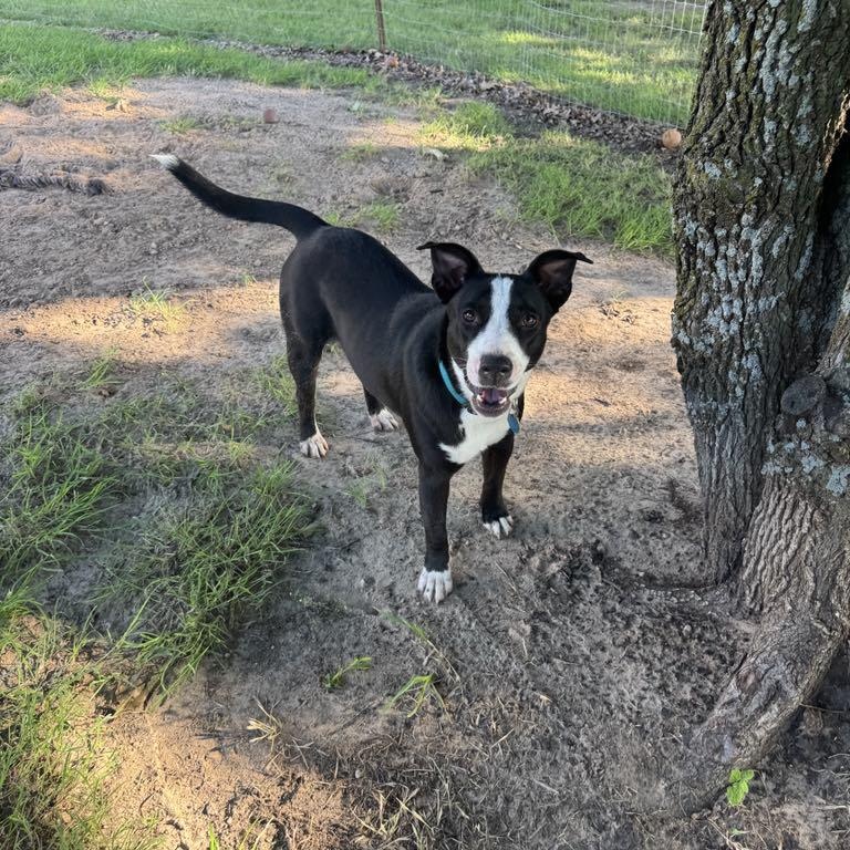 Luna