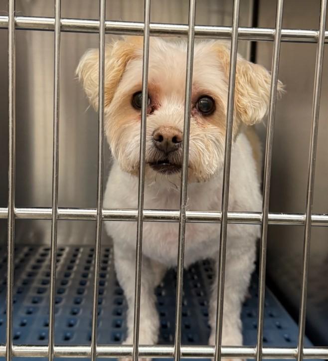 PEE WEE, Senior Male unknown