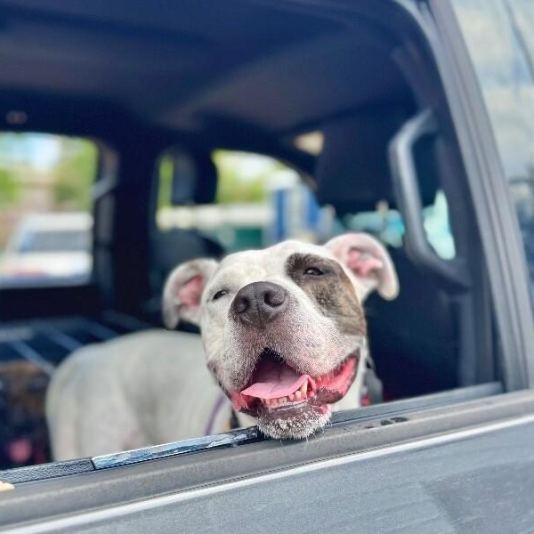 Lizzie angel on earth! — thumbnail 4