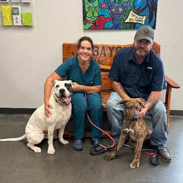 Lizzie angel on earth! — thumbnail 5