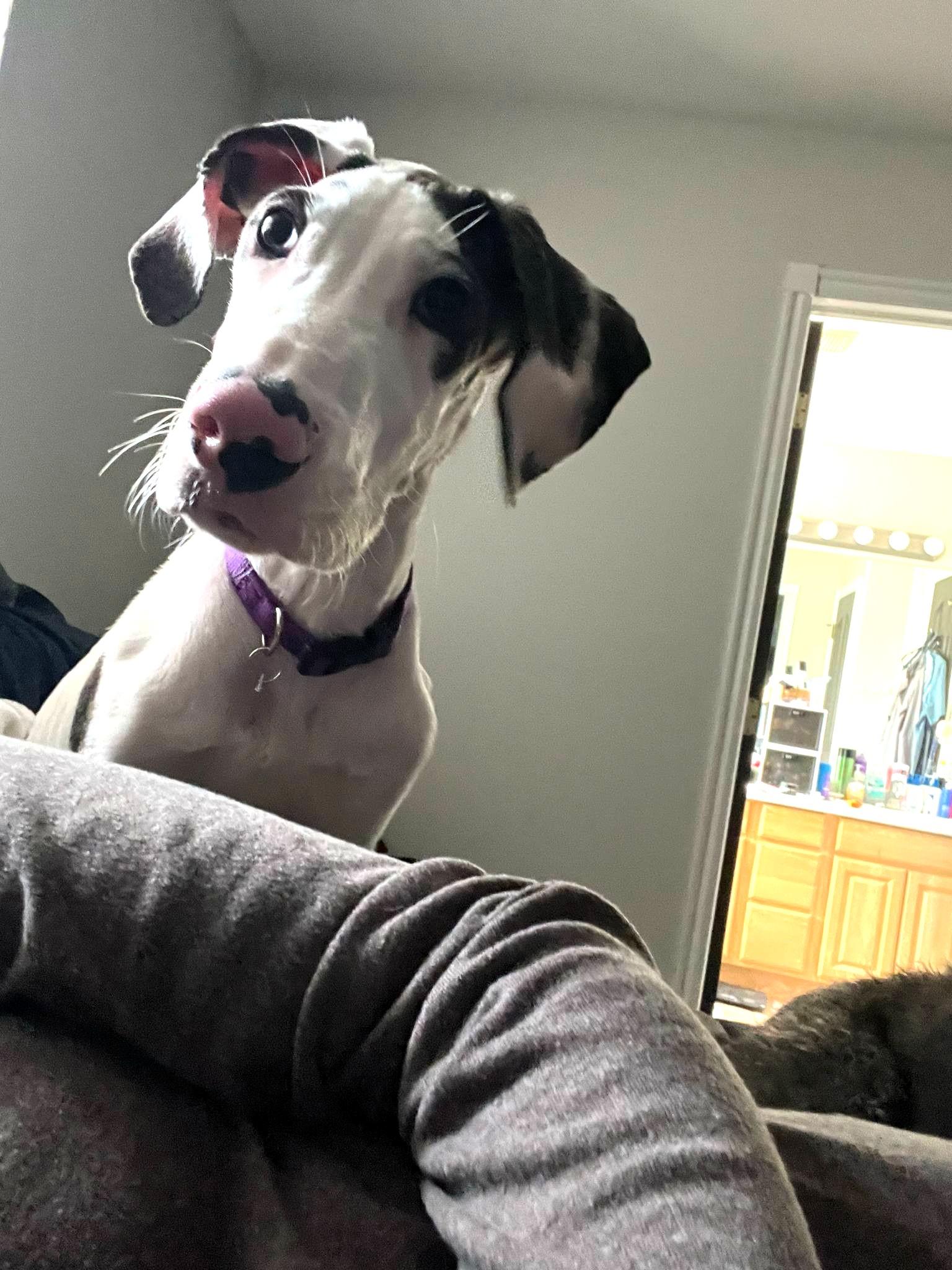 Ghosty
