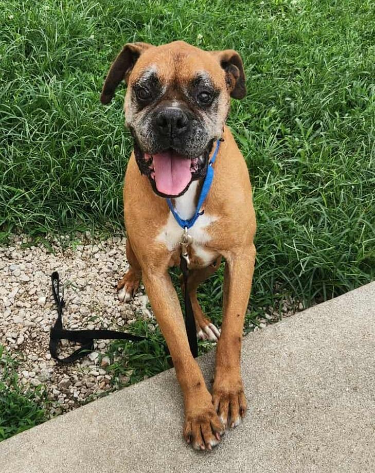 Buster