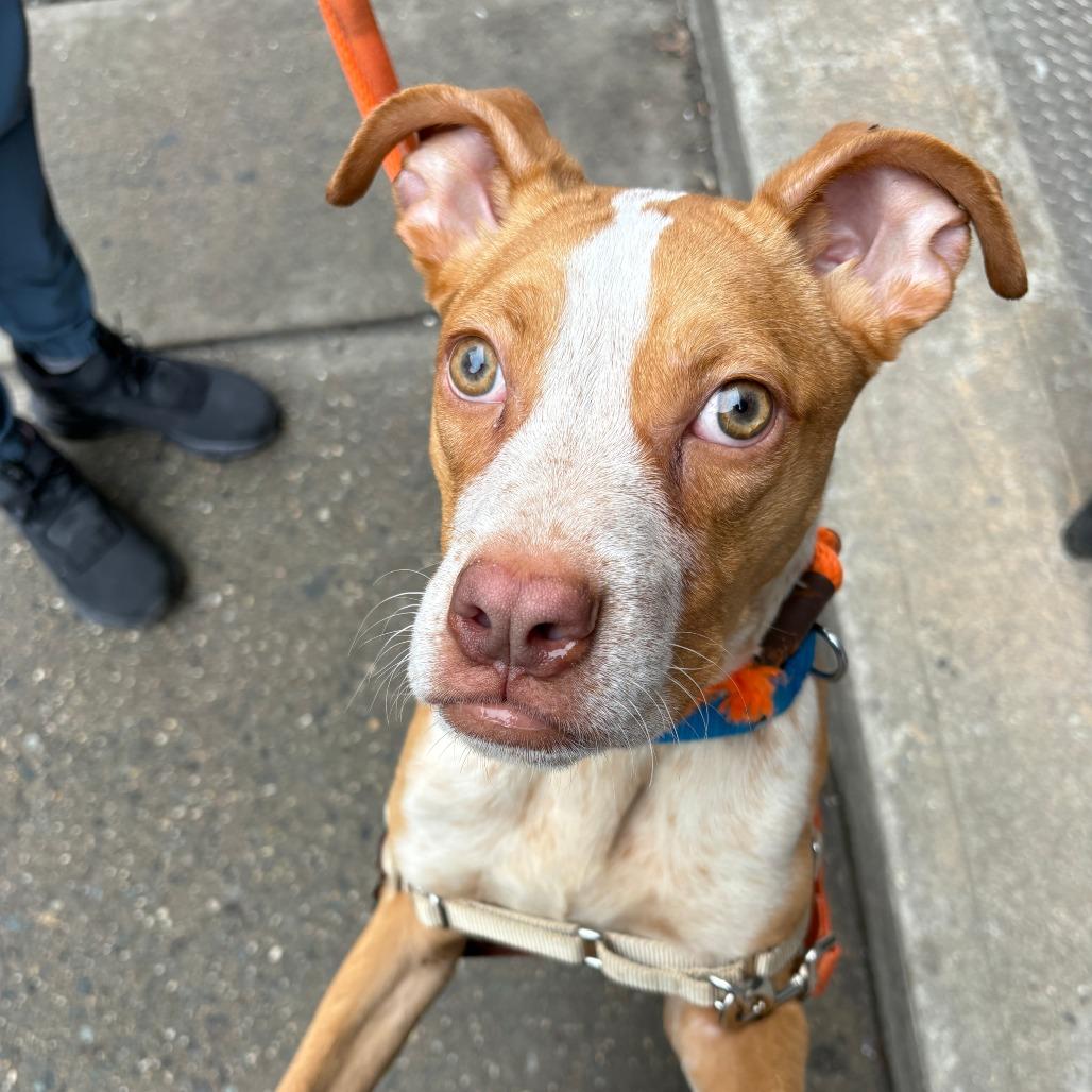 Quartz — thumbnail 4