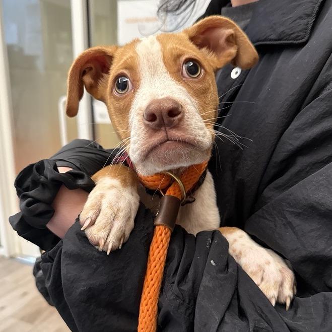 Quartz — thumbnail 5