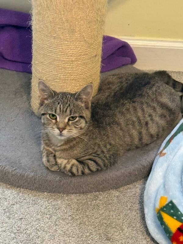 Liam — thumbnail 2