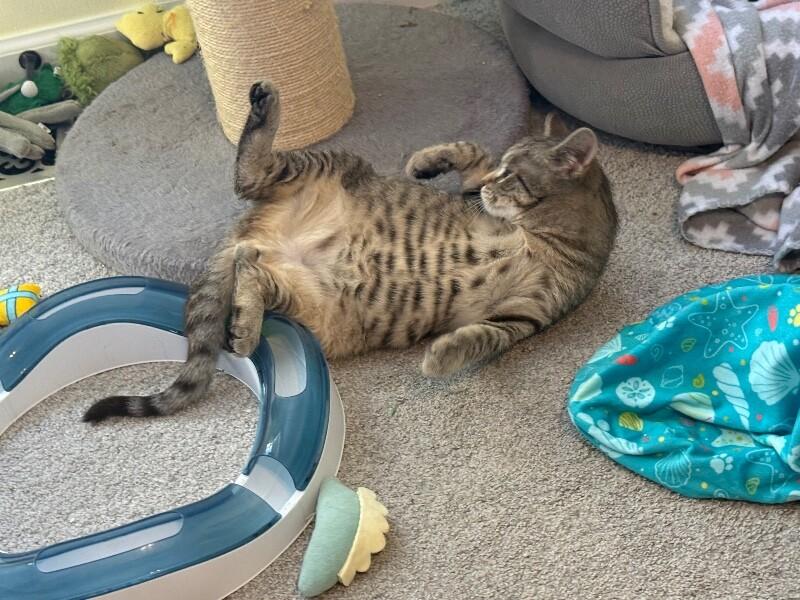 Liam — thumbnail 3