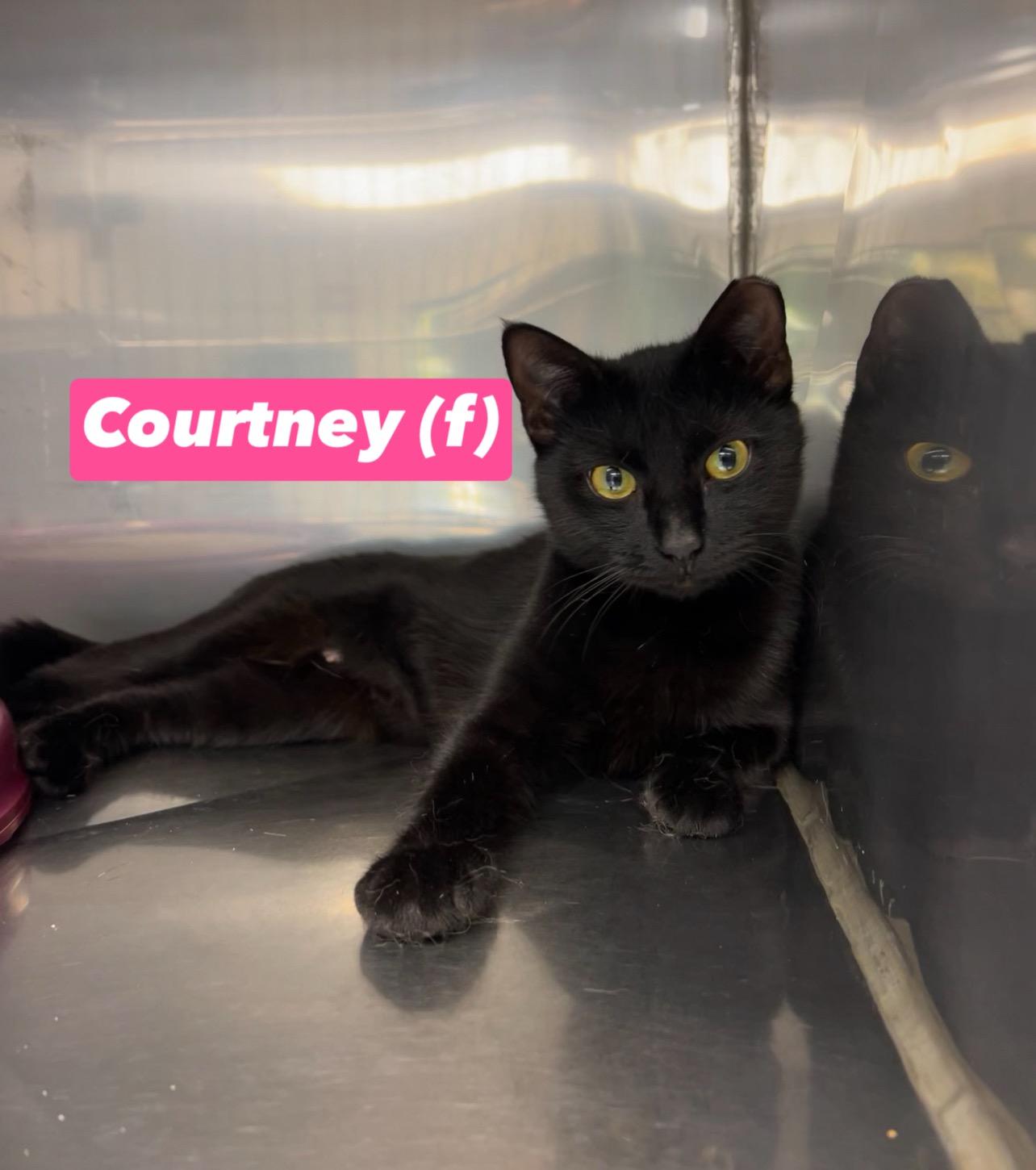 Courtney