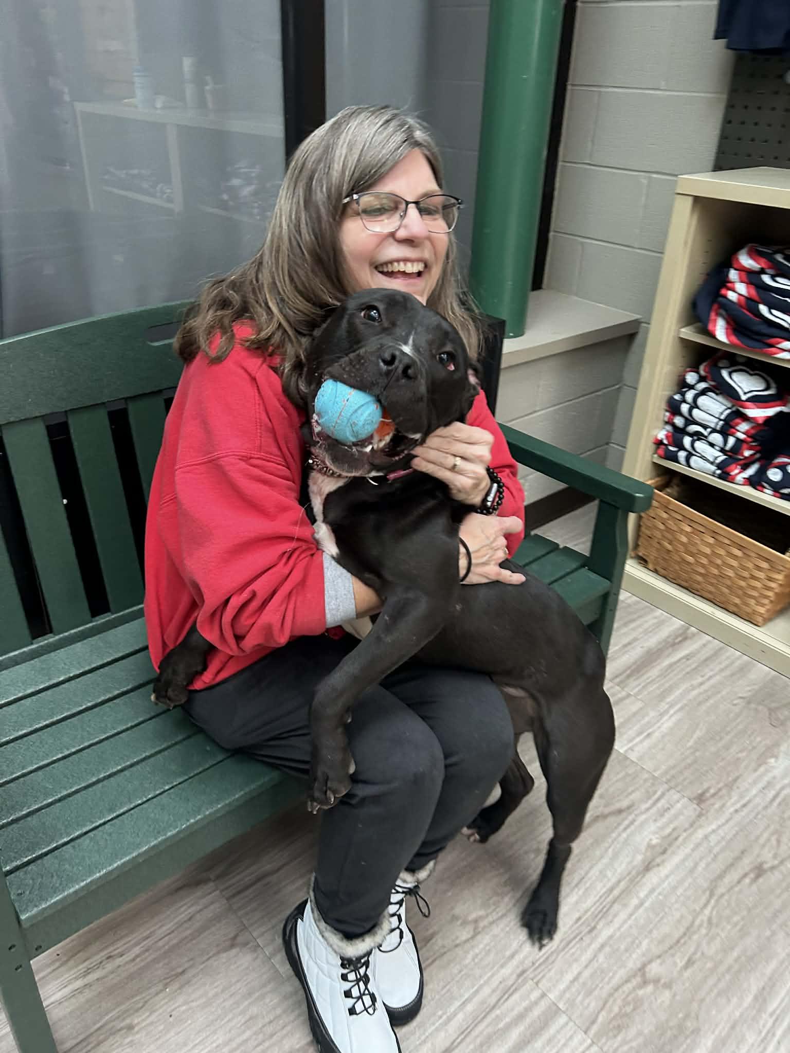 Enlarge Nyla, a other mixed breed in Elyria, OH image 1/5