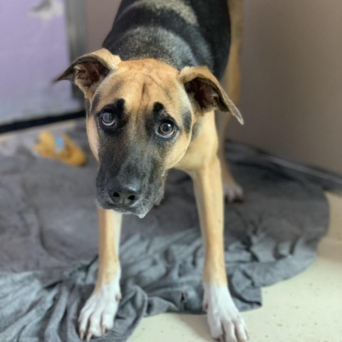 Stacy AKA Luna 1