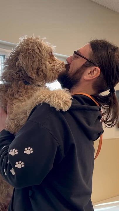 Enlarge Doobie, an adopted mixed breed in New Rochelle, NY video 5/5