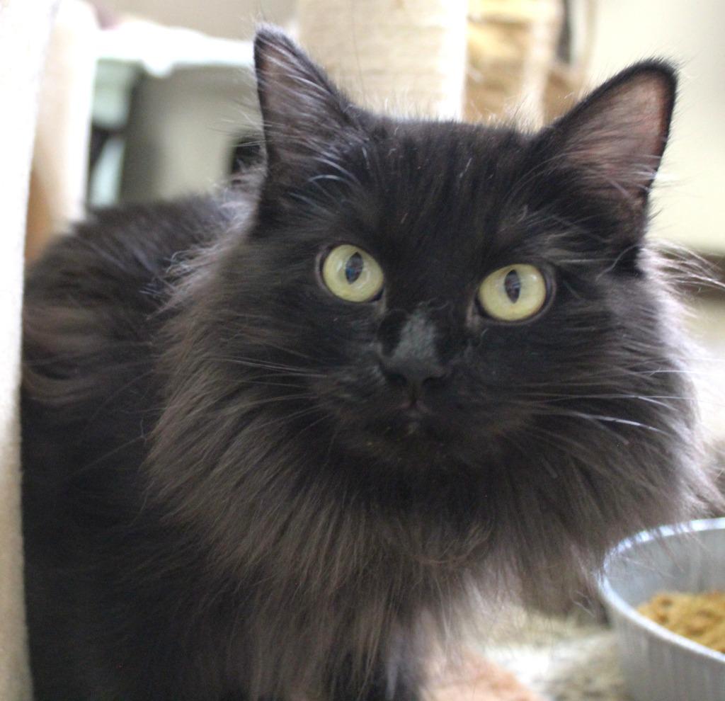 Sunshine thumbnail 2