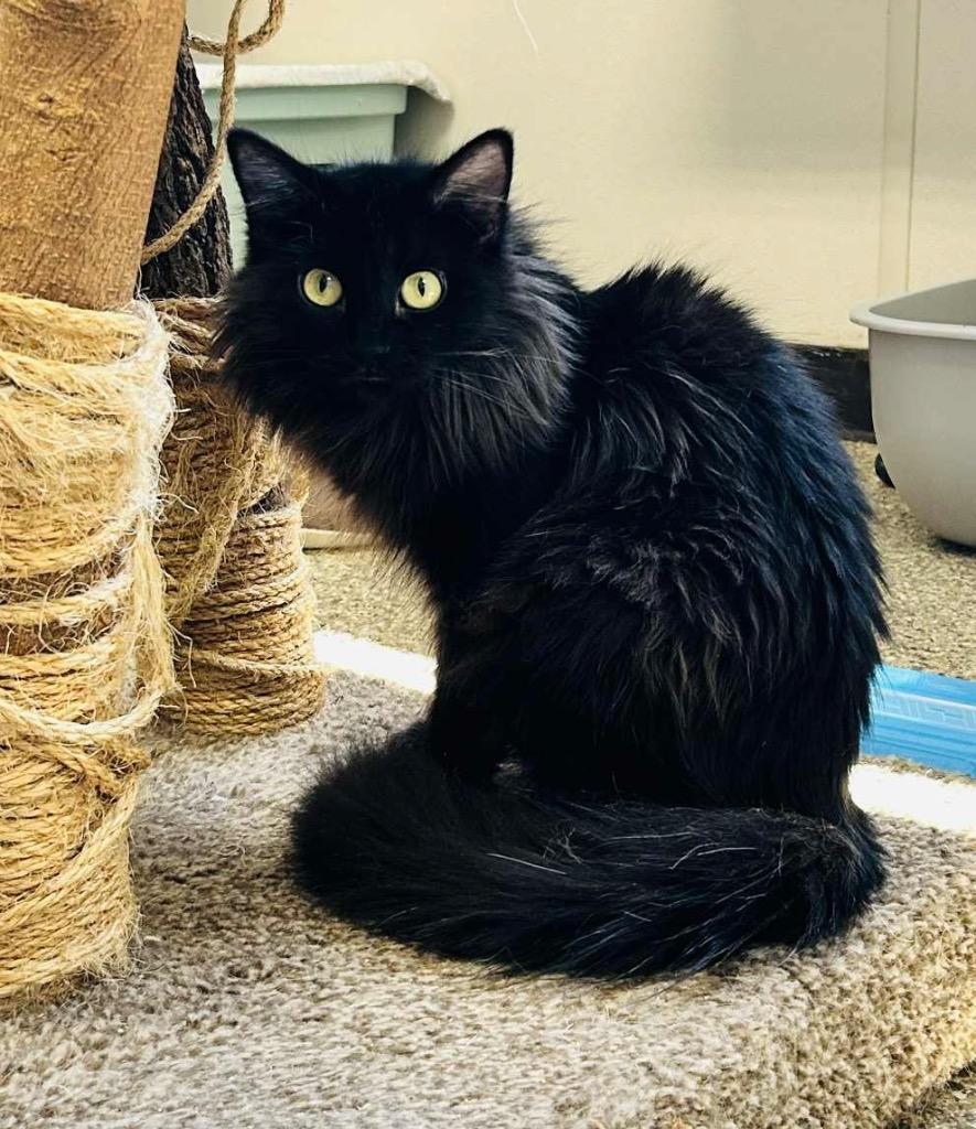 Sunshine thumbnail 3