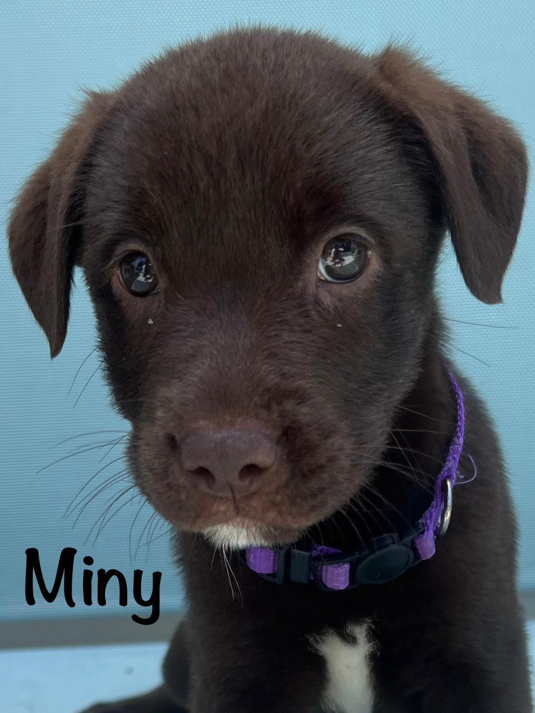 Miny, Baby Female unknown