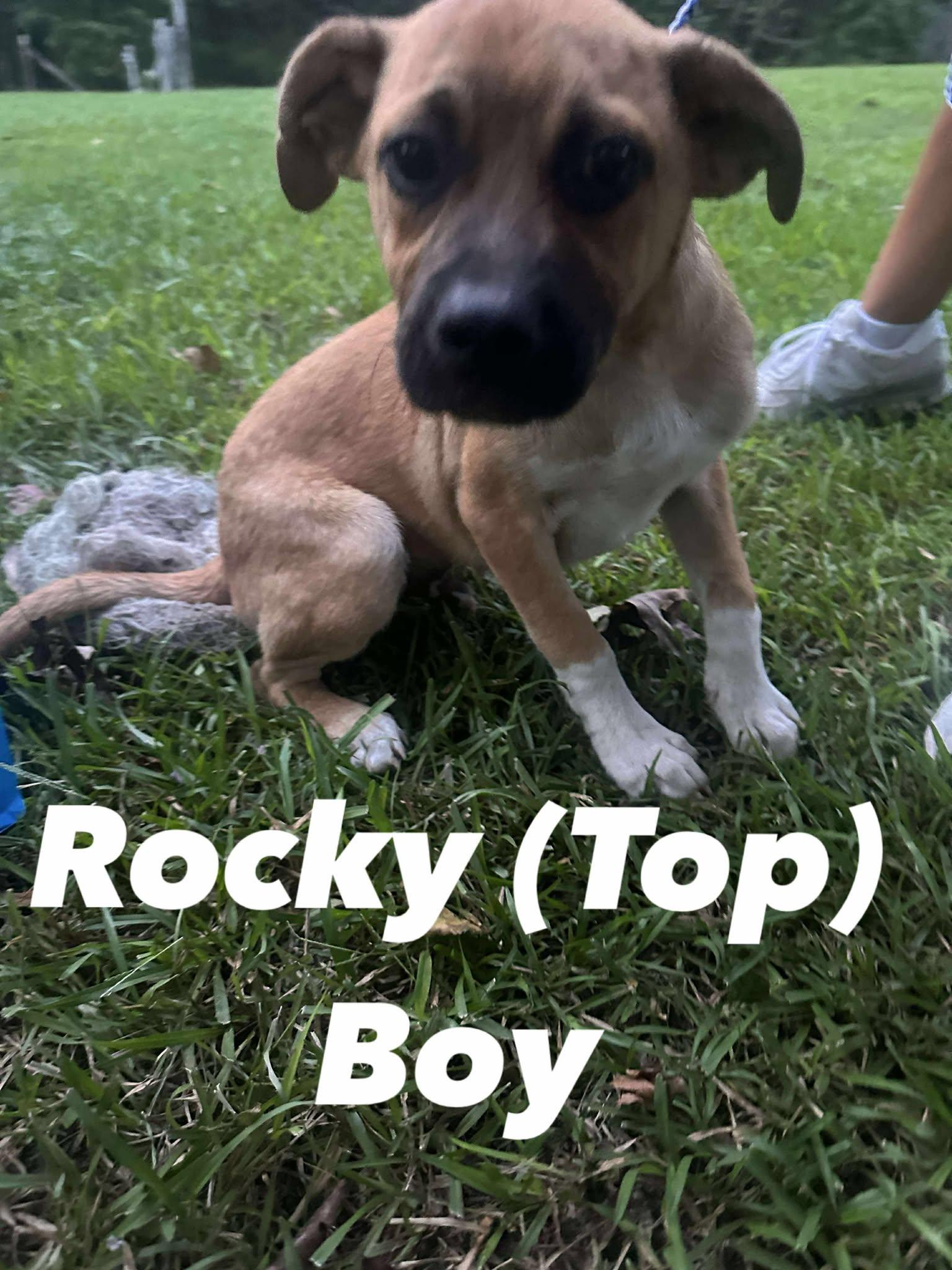 Rocky Top