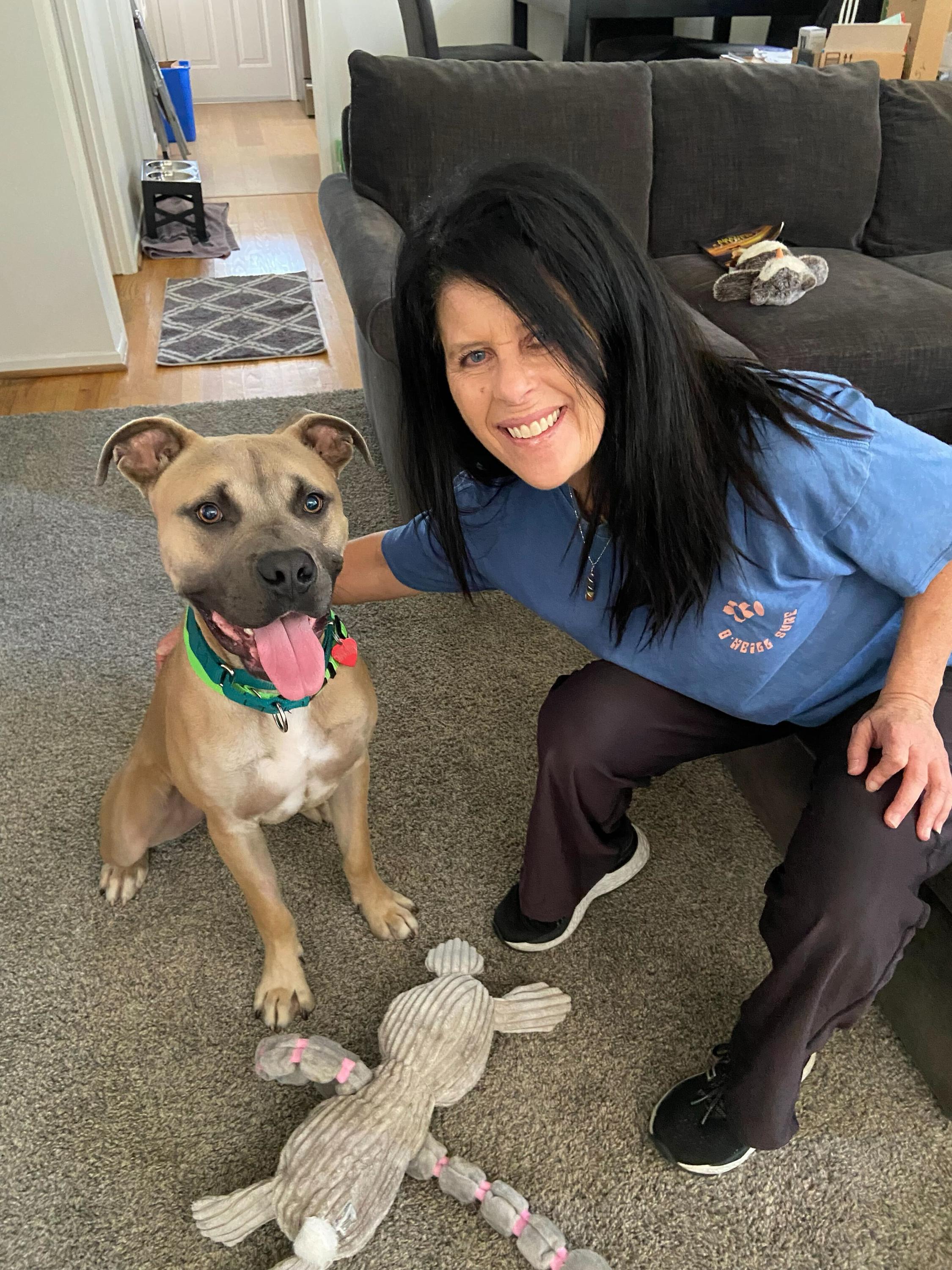 Picasso, a Adoptable mixed breed image 6/6