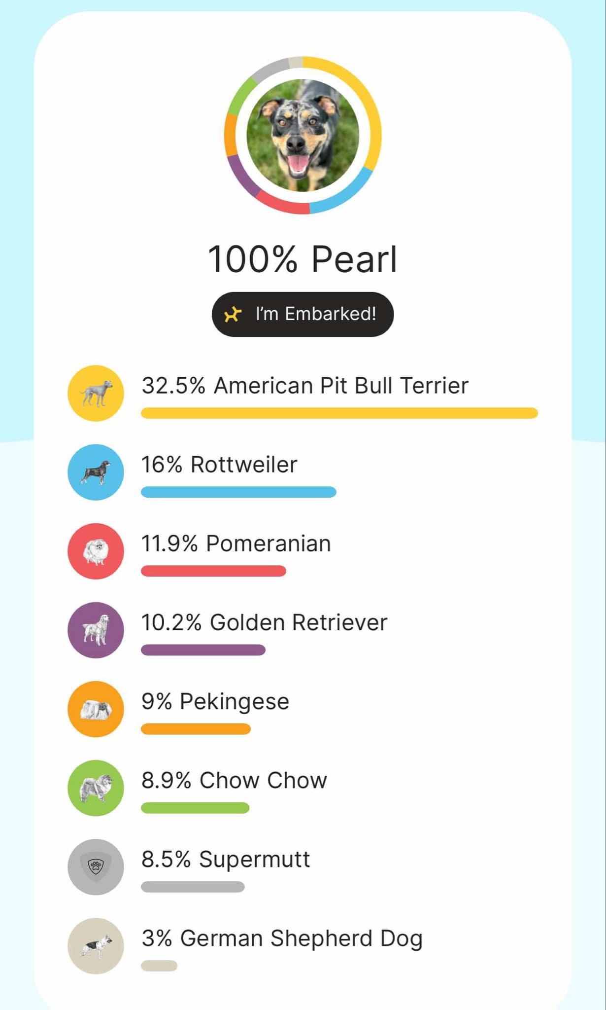 Pearl, a Adopted mixed breed in Seneca Falls, NY image 4/5