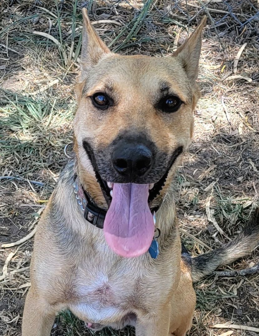 Tucker