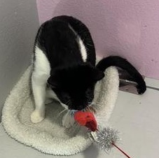 June — thumbnail 2