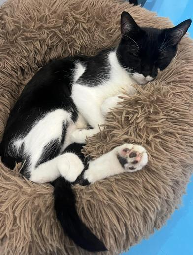 June — thumbnail 6