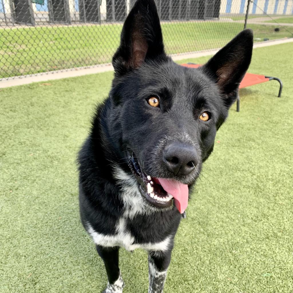 Zeus — thumbnail 4