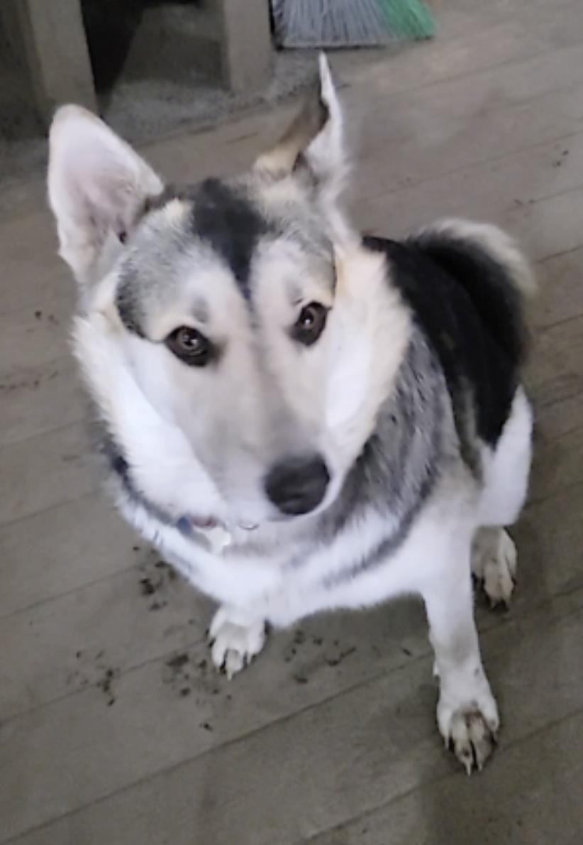 Badb — thumbnail 3