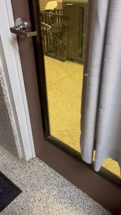 Enlarge Dewey, an adoptable mixed breed in Monroe, OH video 5/6