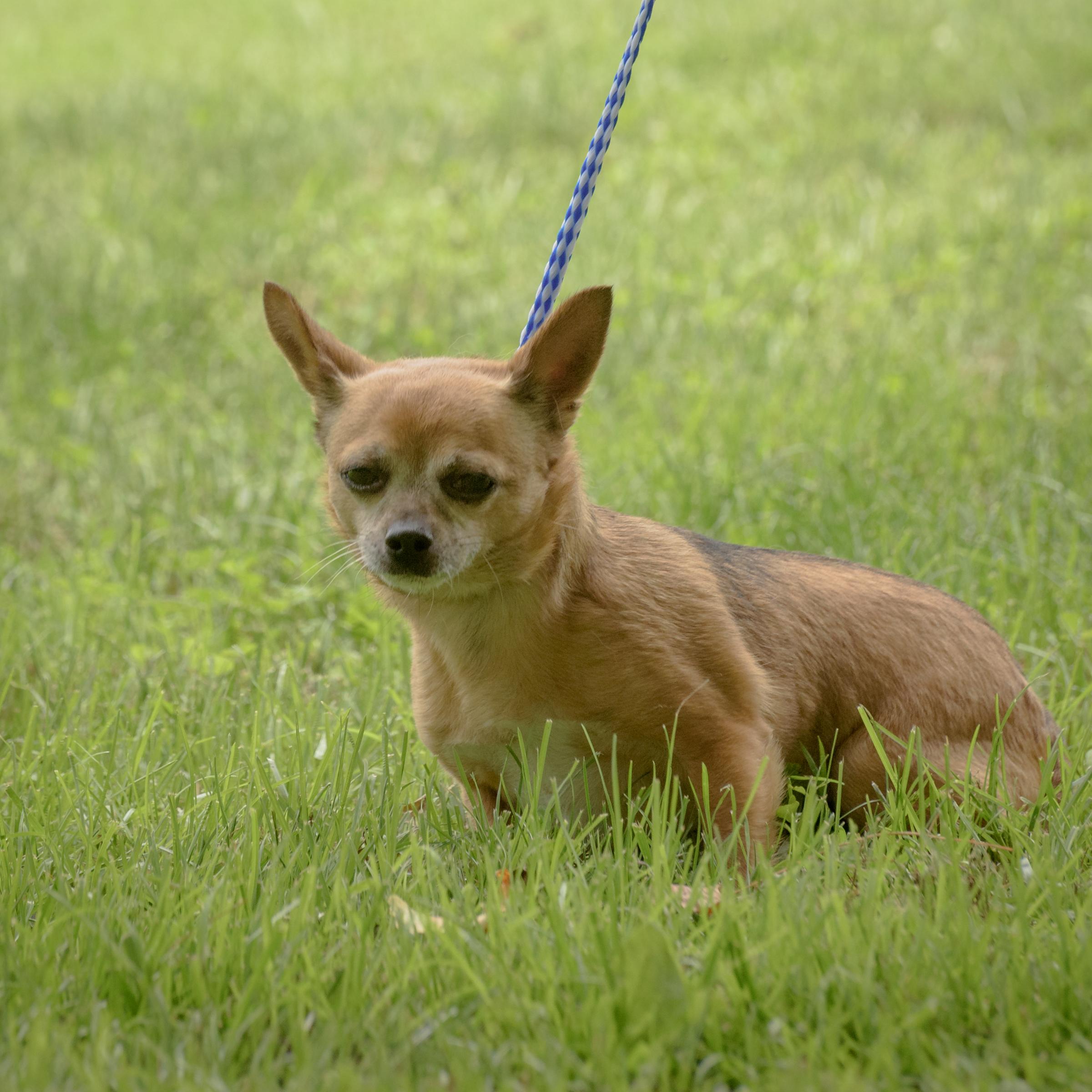 Teddy photo 5