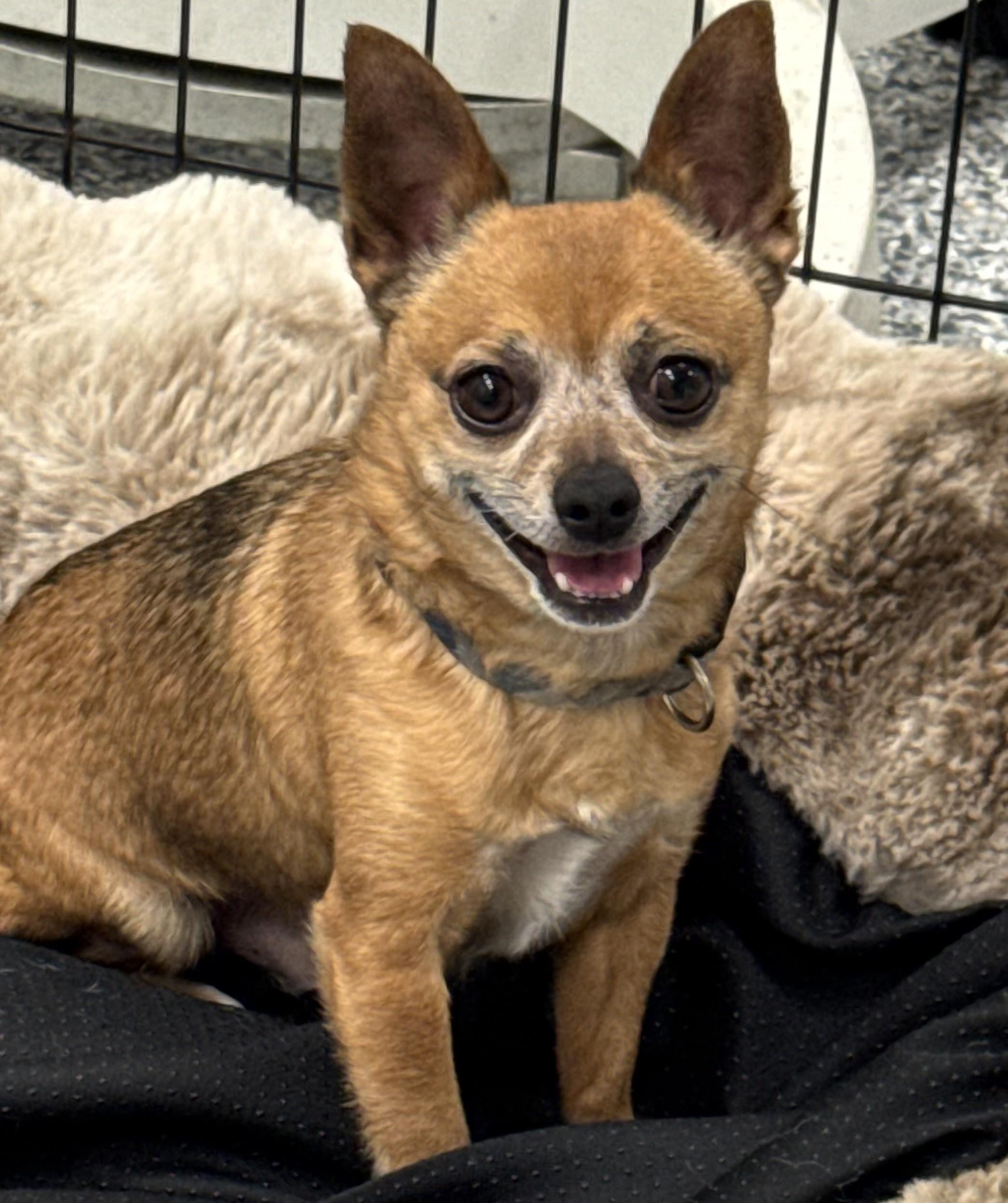 Teddy photo 2