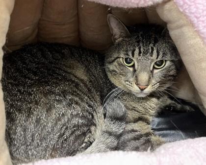 Oliver (with Bruno) — thumbnail 2