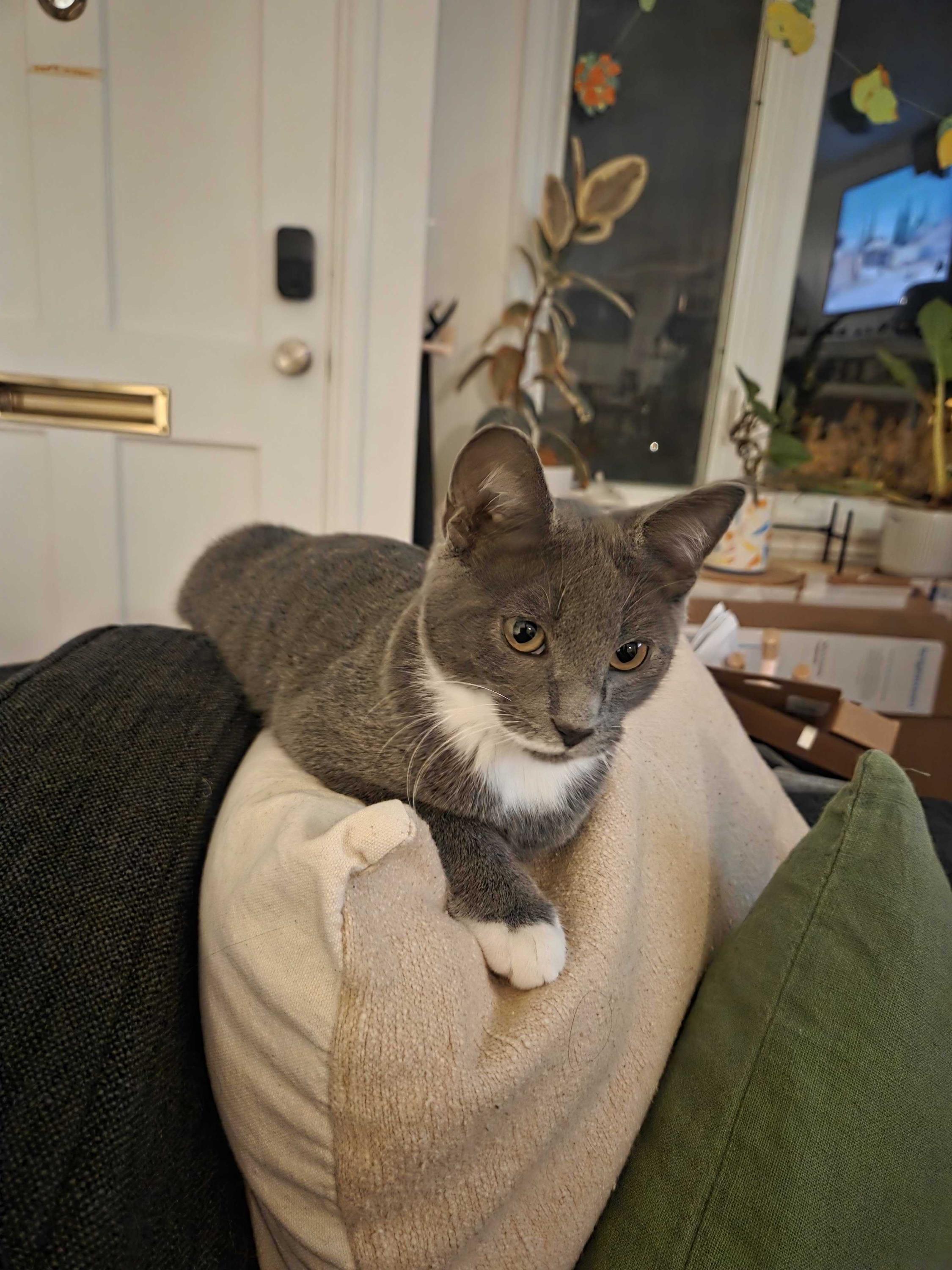 Junior And Granite thumbnail 5