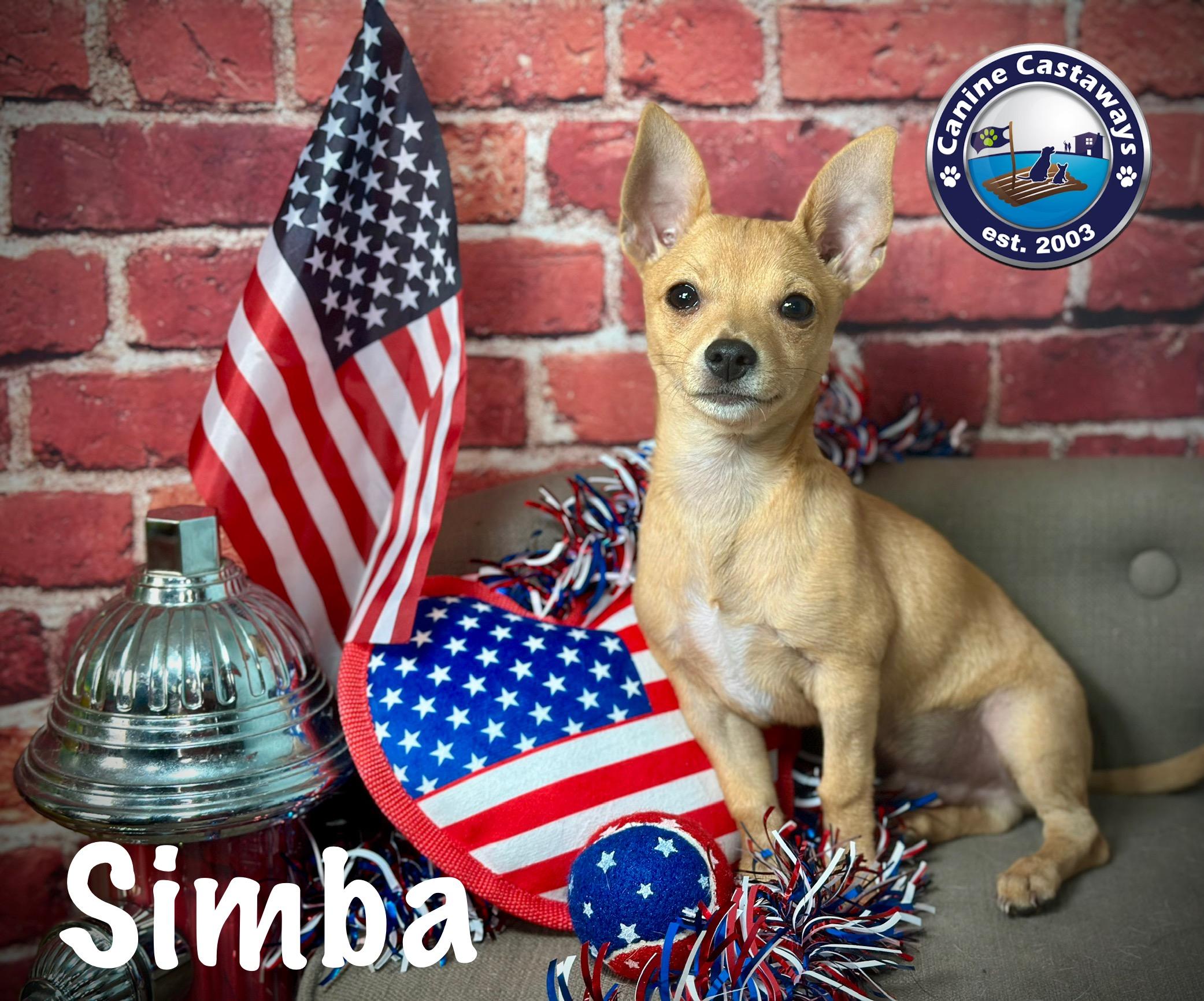 Simba