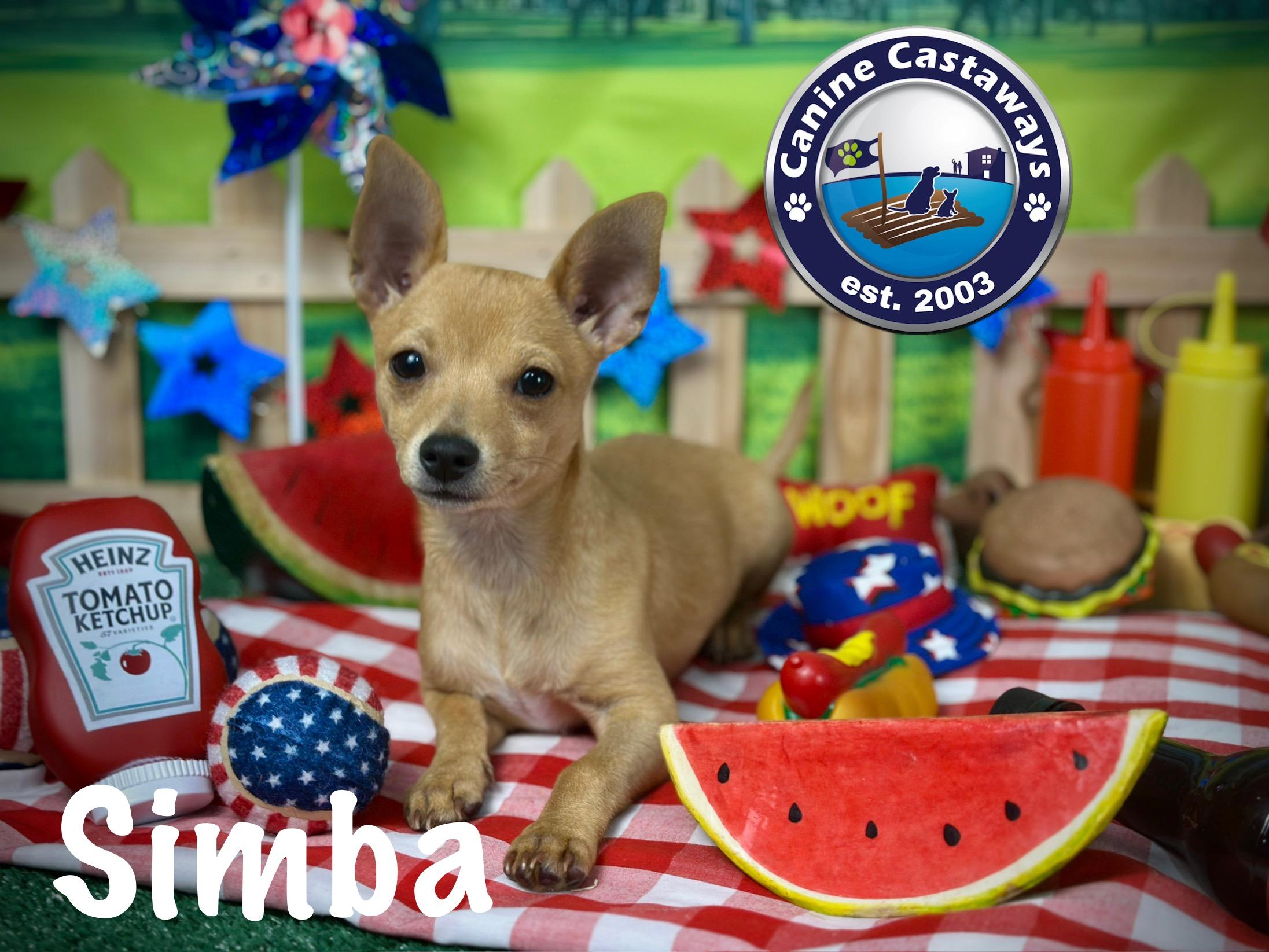 Simba photo 3