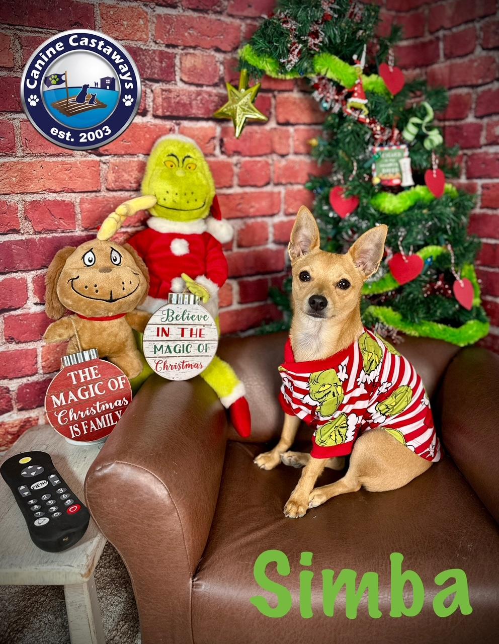 Simba, a Adoptable mixed breed in Arcadia, FL image 2/5