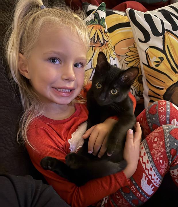 Kylo Ren, an adopted Domestic Short Hair in Lakeside, CA image 1/6